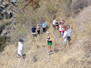 Ahike