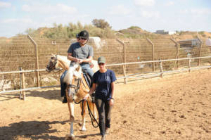 Ahorse2