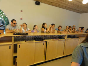 Culinarywinetasting