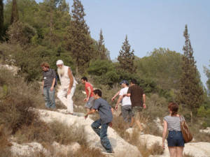 Photo-3